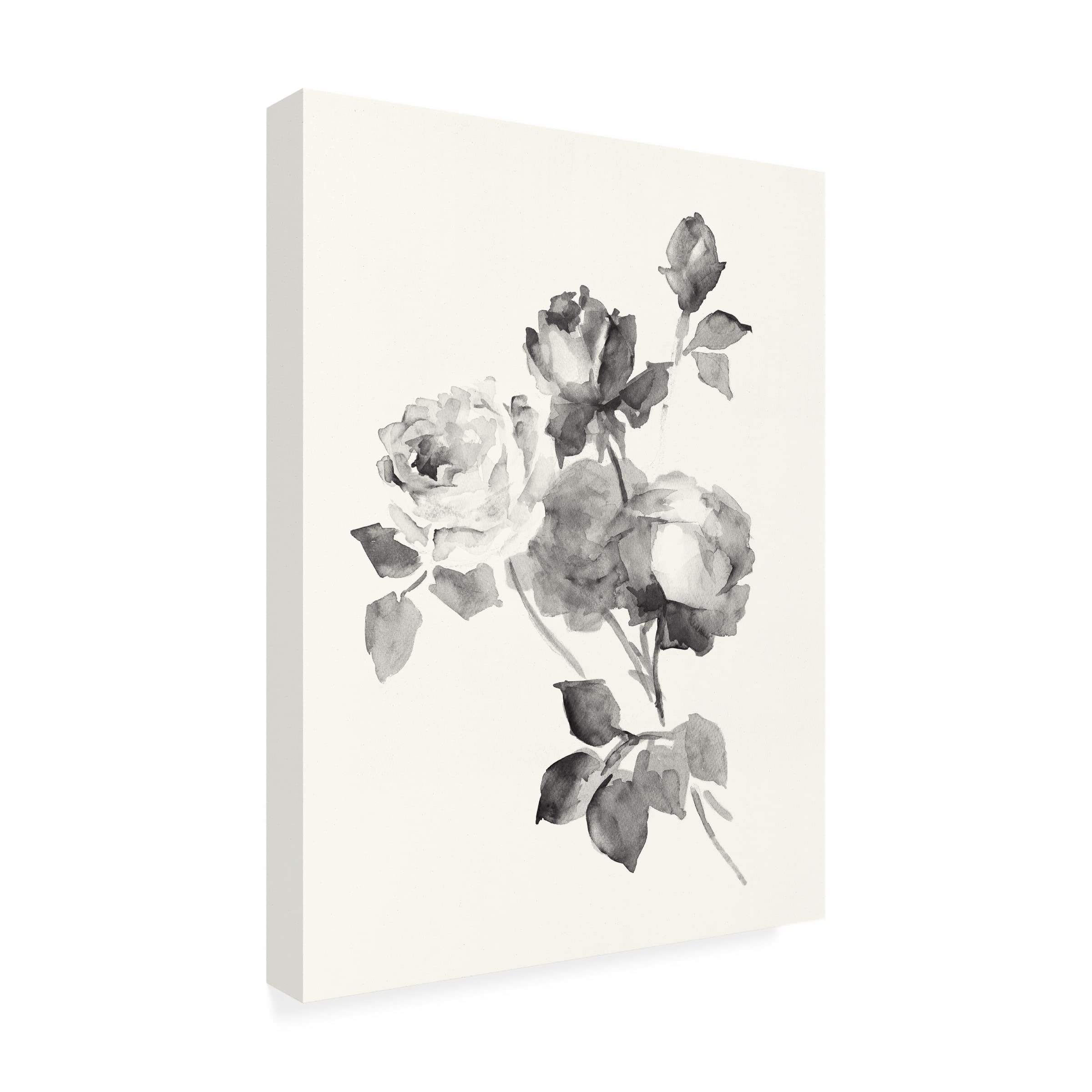 Trademark Fine Art 'Rose Blossoms Gray' Canvas Wall Art by Wild Apple Portfolio - Elegant Floral Painting for Living Room, Bedroom & Office Decor