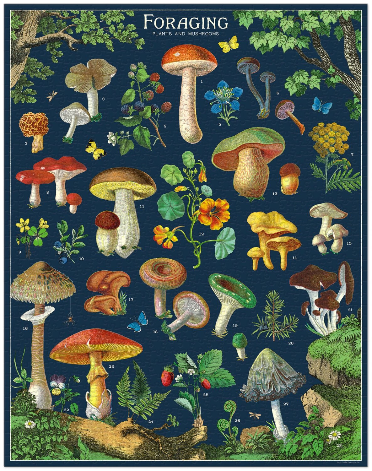1,000 Piece Foraging Puzzle - Nature Inspired Jigsaw Puzzle for Adults & Teens - Perfect for Relaxation, Family Game Night & Home Decor