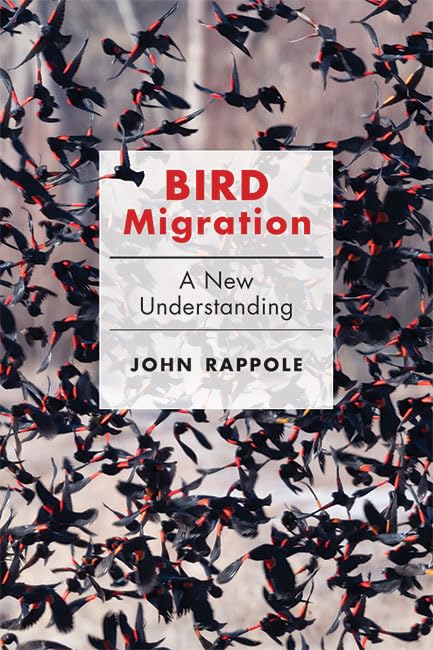 Bird Migration Patterns: Latest Research & Discoveries | Understanding Avian Behavior for Birdwatching & Conservation