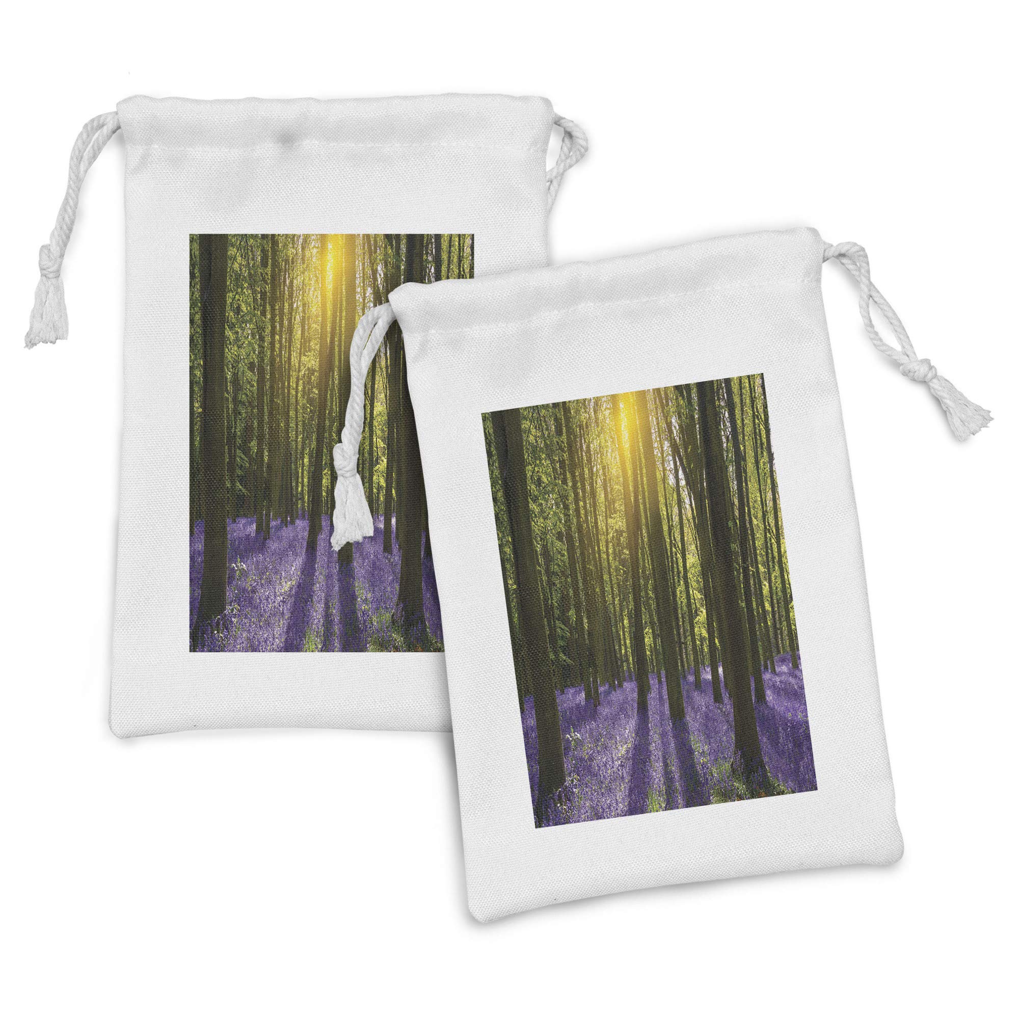 Ambesonne Woodland Fabric Pouch Set of 2 - Bluebells & Sunbeams Forest Design, Small Drawstring Bag for Toiletries, Masks, Jewelry & Party Favors (9