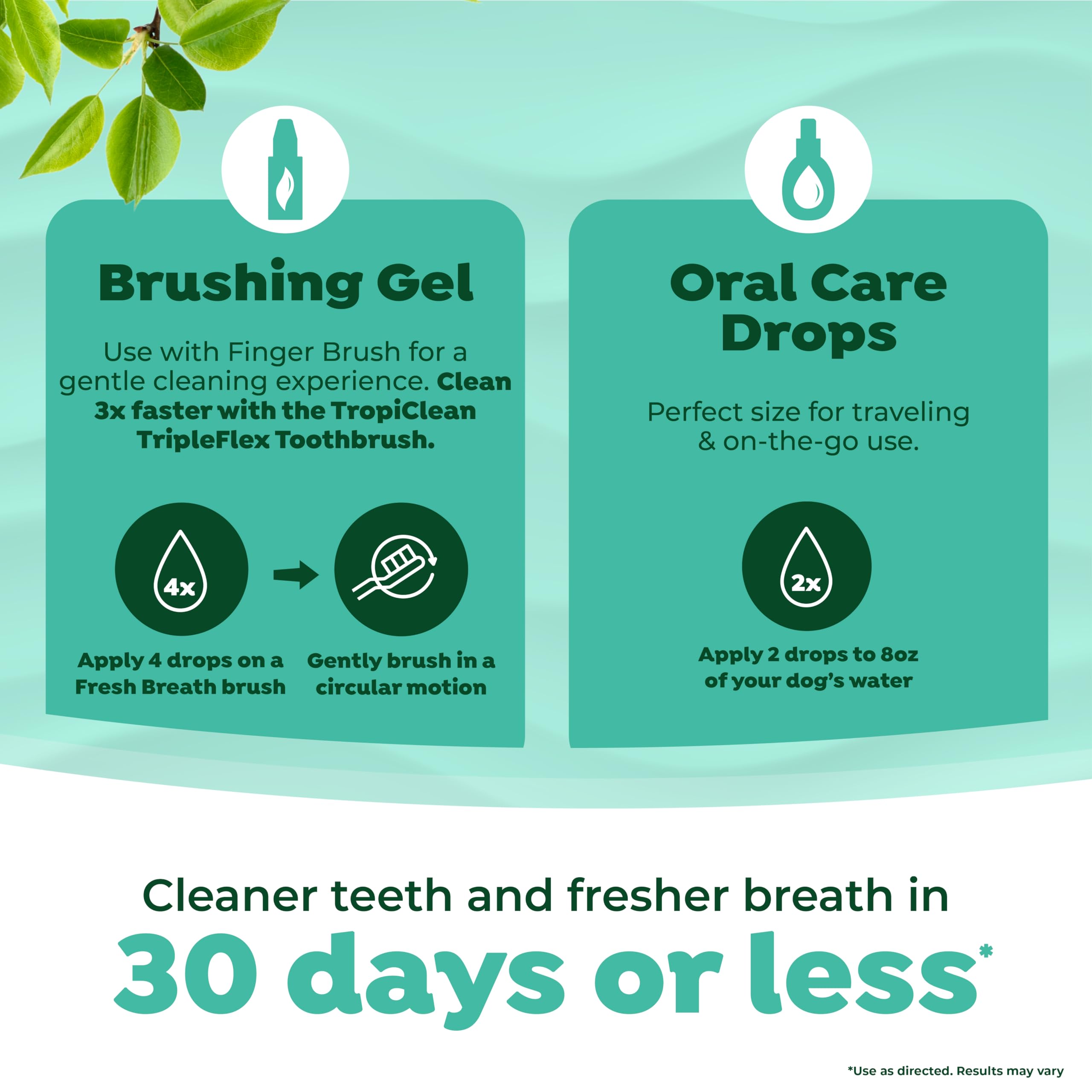 TropiClean Fresh Breath Dog Oral Care Kit - Complete Plaque & Tartar Control System for Small & Medium Dogs | Dog Teeth Cleaning Kit with Toothbrush & Toothpaste | Perfect for Daily Dental Hygiene & Fresh Breath at Home