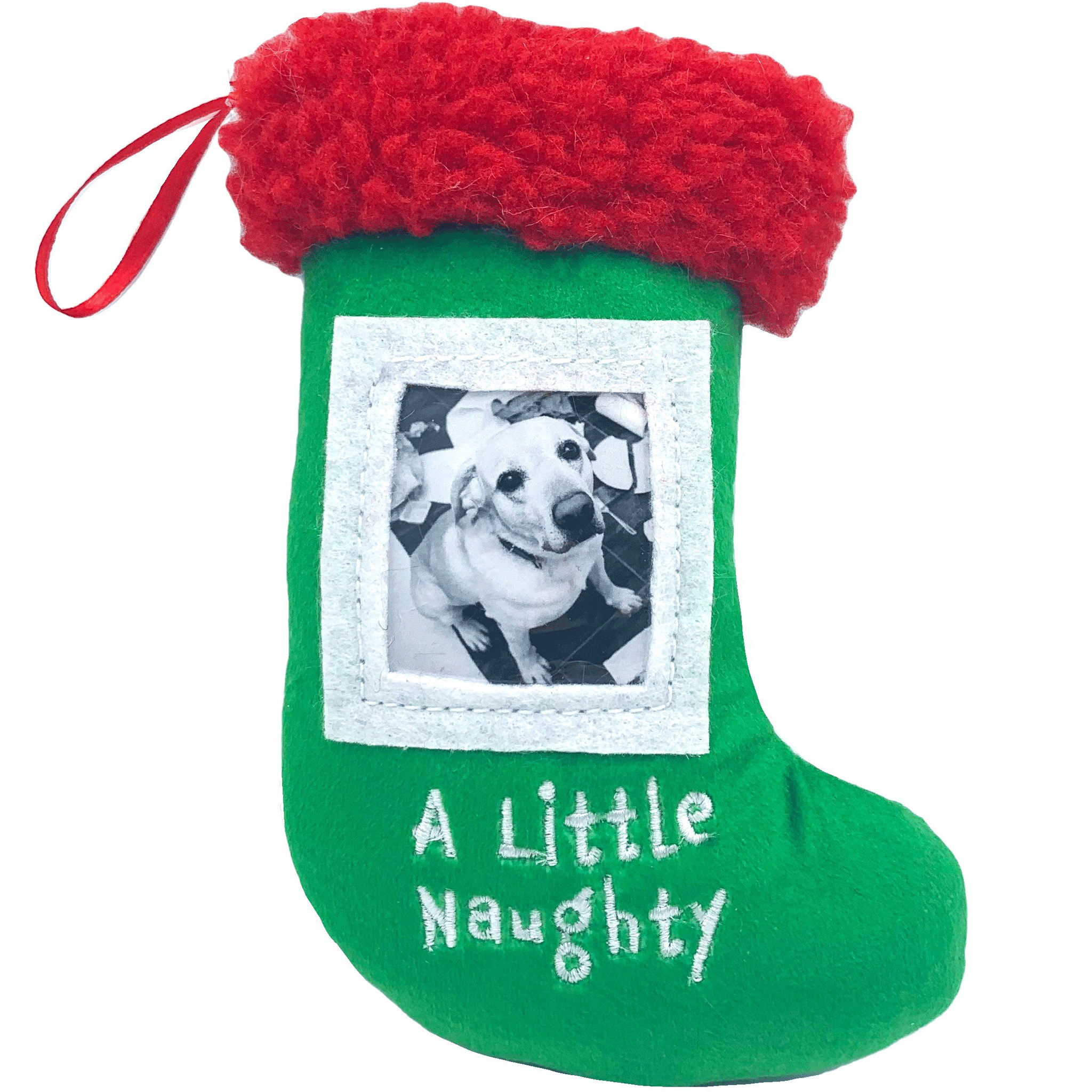 Lulubelles Playful Green Dog Chew Toy - Durable Pet Chewing Bone for Small & Medium Dogs - Perfect for Indoor & Outdoor Playtime