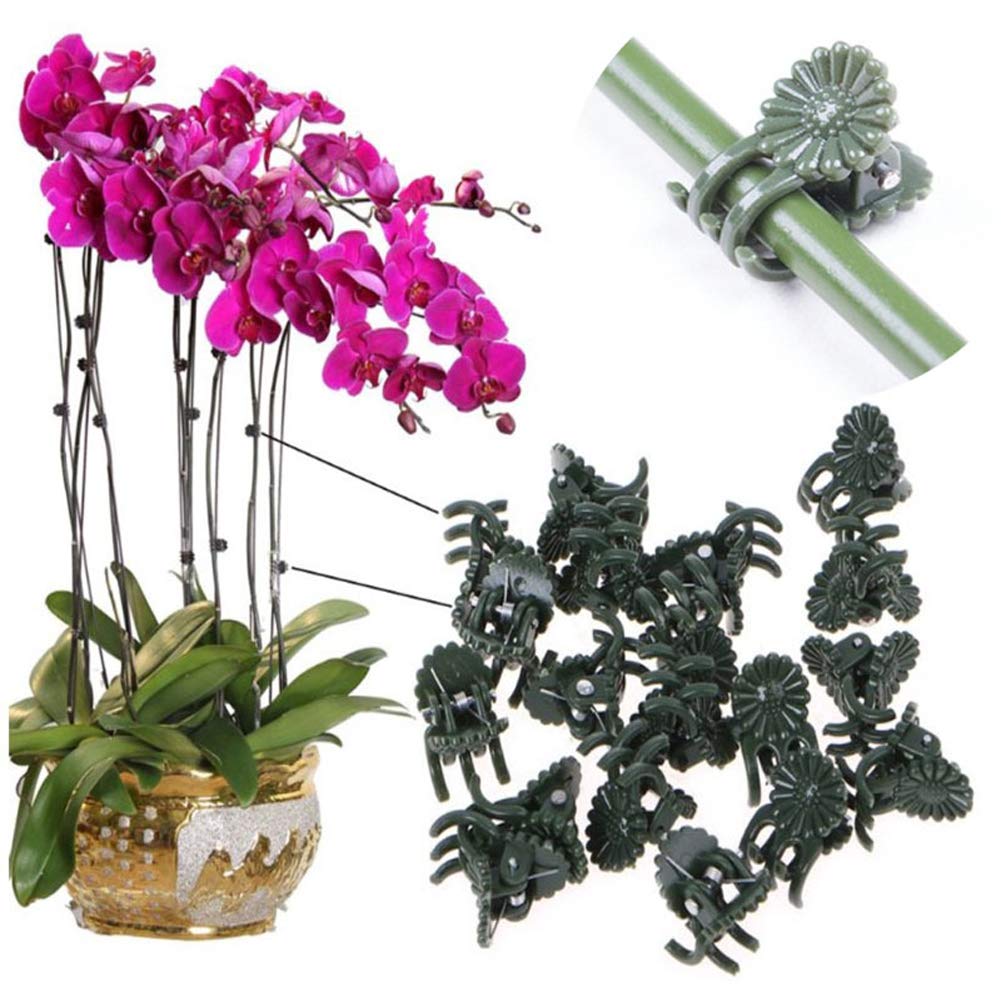 100Pcs Dark Green Orchid Clips - Mini Plastic Plant Support Clips for Stems, Vines & Stalks - Garden Flower Plant Clips to Help Plants Grow Upright - Perfect for Orchids, Tomatoes, and Climbing Plants in Home Gardens & Greenhouses