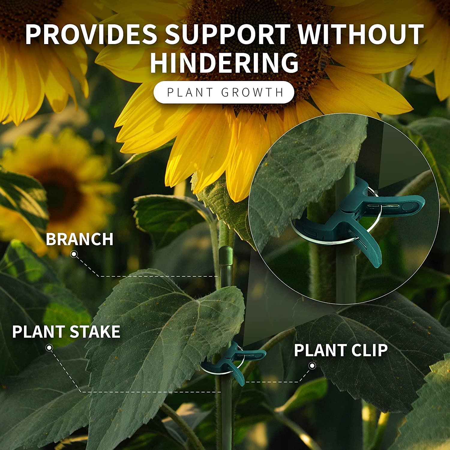 RamPro 80-Piece Green Gardening Clips – Gentle Plant & Flower Support Clips for Stems, Stalks & Vines | Garden Tool for Straightening & Training Plants | Perfect for Indoor Pots, Outdoor Gardens & Greenhouses
