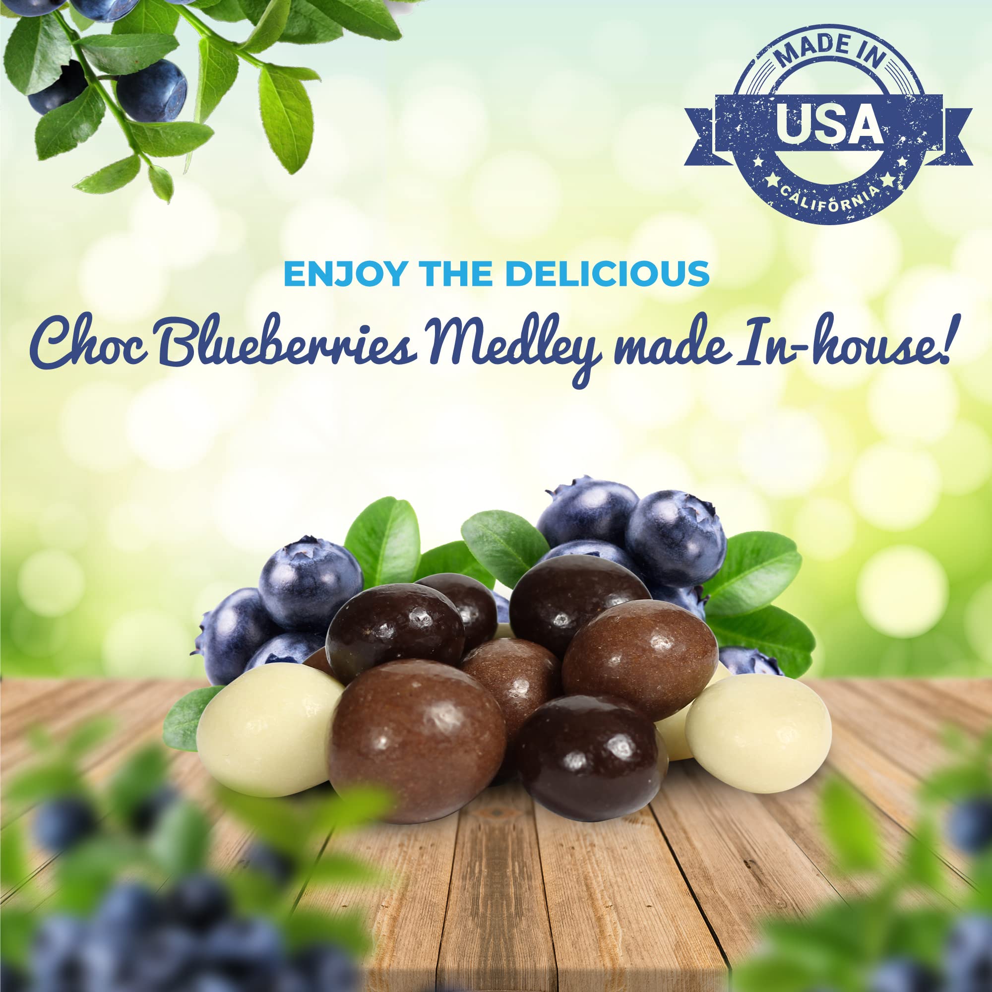 Premium Gourmet Chocolate Covered Blueberries Mix (Dark, Milk & White) – 10lb Bulk Bag | Kosher Dairy Certified | USA-Made Specialty Chocolate Snacks | Perfect for Gifts, Parties & Healthy Desserts