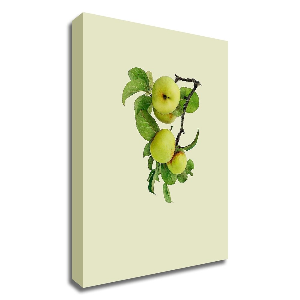 Incado Apple Tree I Canvas Wall Art Print - Ready to Hang - Modern Home Decor for Living Room, Bedroom & Office