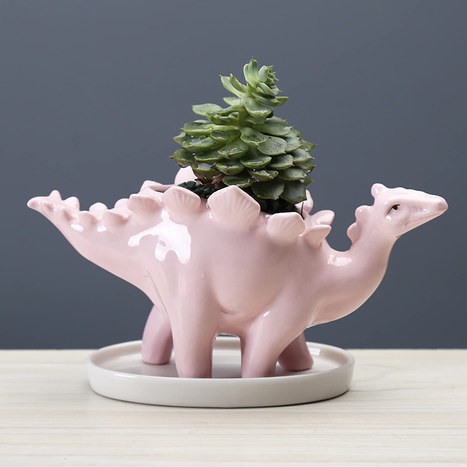 YXGLL Ceramic Stegosaurus Flower Pot with Drainage Tray - Cute Dinosaur Planter for Succulents, Small Plants - Pink Home & Garden Desktop Decor for Office, Bedroom, Living Room