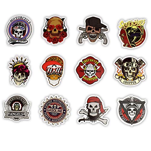100 Pcs Cool Skull Vinyl Stickers - Waterproof Decals for Water Bottles, Laptops, Cars, Skateboards & Bikes - Fun Graffiti Patches for Teens - Perfect for DIY, School, Travel & Room Decor (Skull Design)