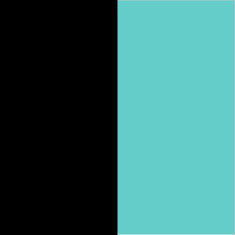 Black/Teal