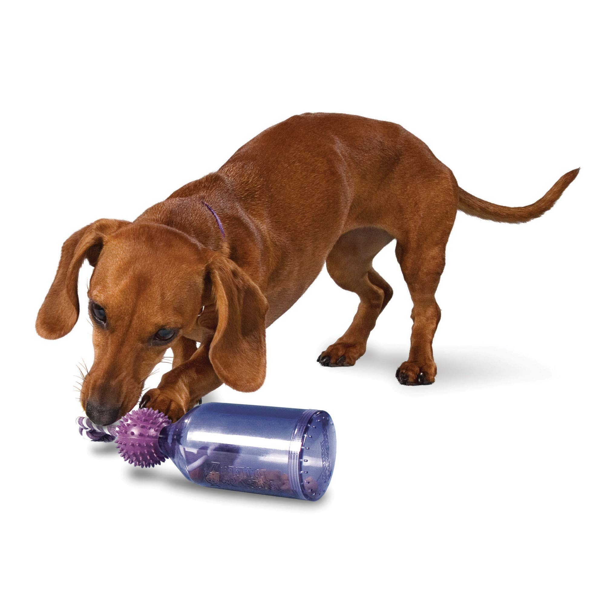 PetSafe Busy Buddy Tug-A-Jug Interactive Dog Toy - Slow Feeder & Training Puzzle for Small Dogs - Perfect for Mealtime Enrichment & Boredom Relief