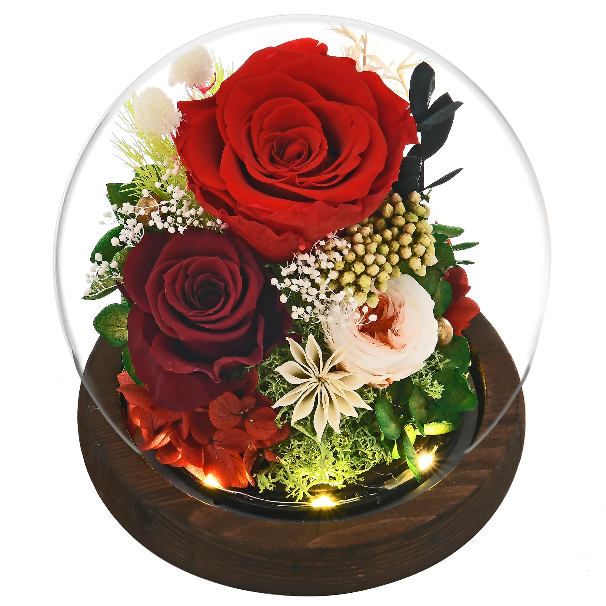 Elegant Rose in Glass Dome with LED Light - Romantic Gift for Women, Mom, Grandma, Girlfriend, Wife - Perfect for Anniversaries, Valentine's Day & Home Decor
