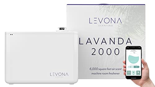 Lavanda
