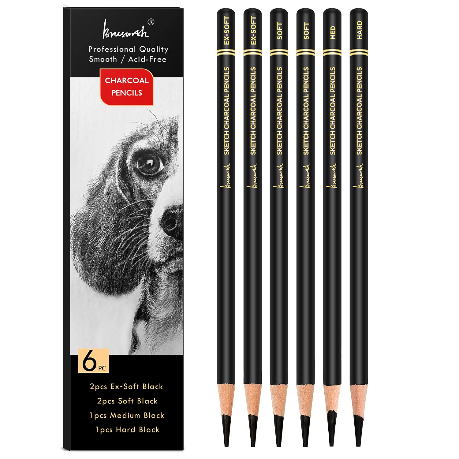 Professional Charcoal Pencils Set - 6 Pieces Soft, Medium & Hard Graphite Drawing Pencils for Artists, Sketching, Shading | Perfect for Portrait Drawing, Still Life & Art Class Supplies
