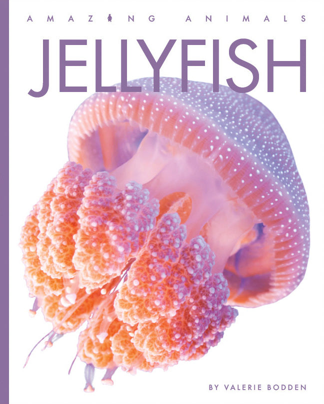 Jellyfish Book 9781640265660 - Marine Life Guide for Kids & Adults - Perfect for Classroom Learning & Home Education