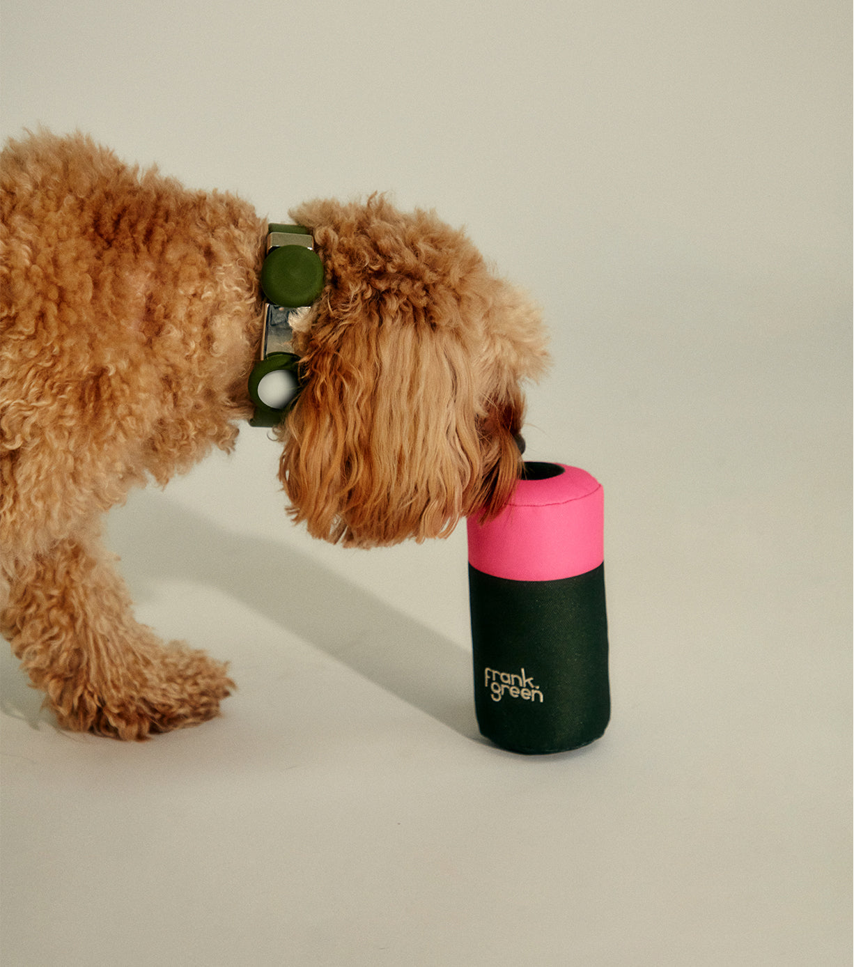 Durable Squeaky Dog Toys for Small & Large Dogs - Interactive Chew Toys for Puppies & Adult Dogs - Perfect for Playtime, Training & Teething Relief