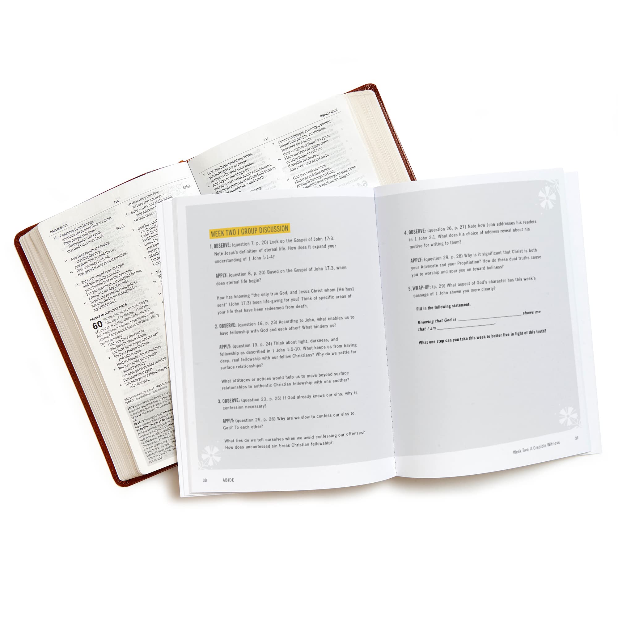 Abide - Bible Study Book with Video Access: A Study of 1, 2, and 3 John | Christian Devotional Guide for Small Groups & Personal Bible Study
