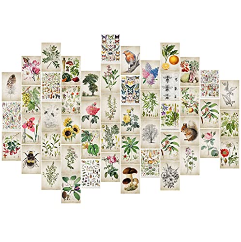 Vintage Botanical Wall Art Prints - Aesthetic Room Decor, Cottagecore Collage Kit for Bedroom & Living Room | Perfect for Boho, Vintage & Plant Lover's Home Decor