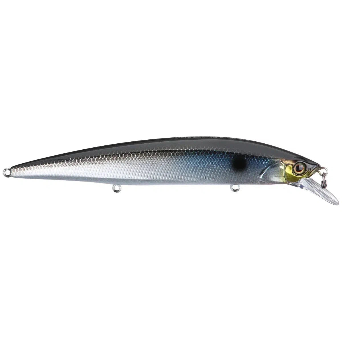 HL Silver Shad
