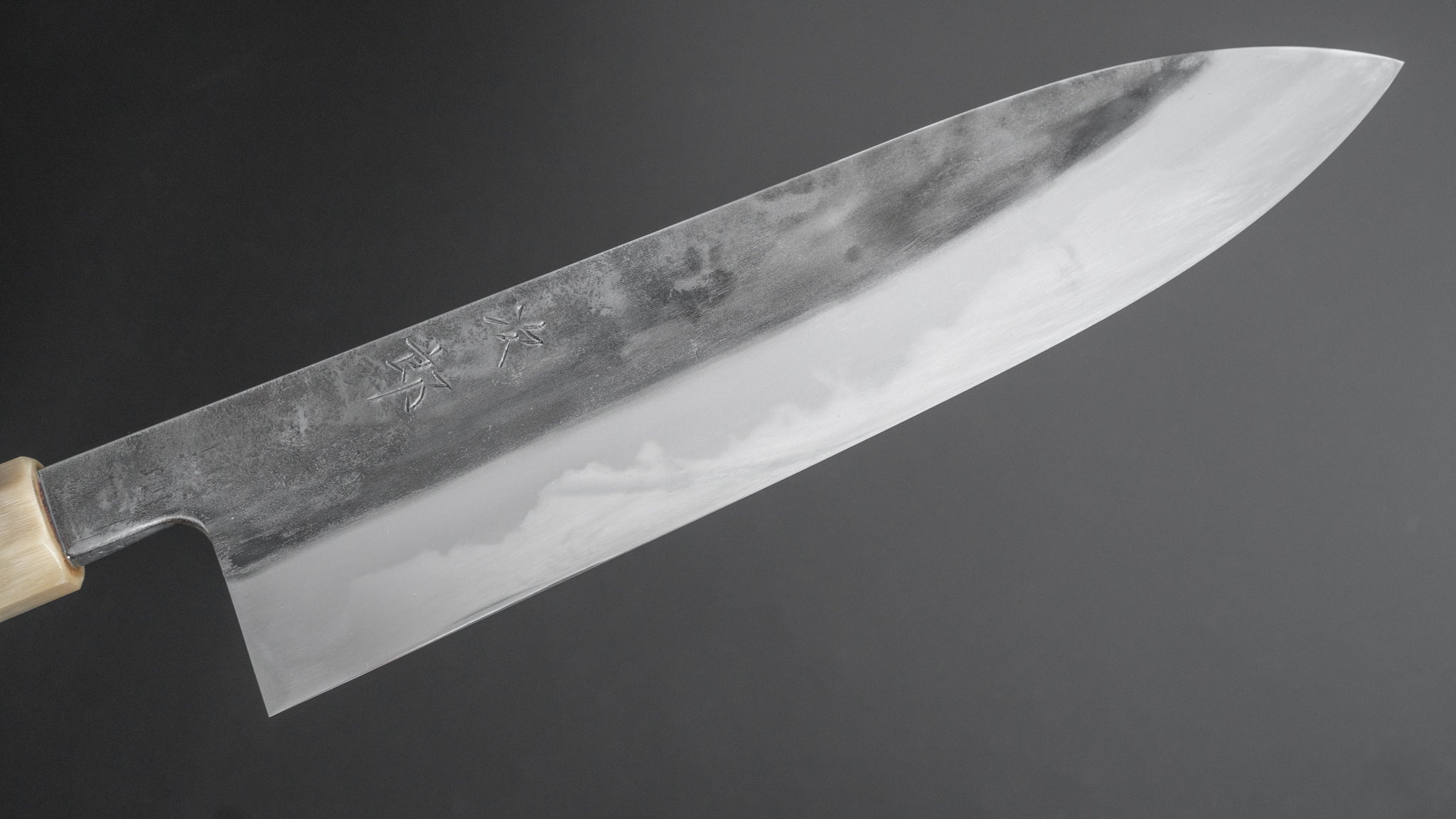Premium Jiro Tsuchime Wa Gyuto 240mm Japanese Chef Knife with Taihei Tagayasan Handle - Perfect for Sushi, Meat Cutting & Professional Kitchen Use (#219)