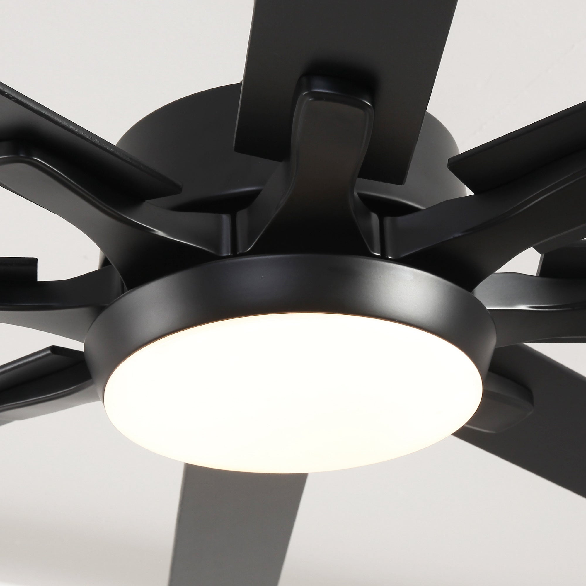 65 Inch Teresa Modern Double Sided Blades Ceiling Fan with Remote Control & LED Light - Perfect for Living Room, Bedroom and Outdoor Patio Cooling