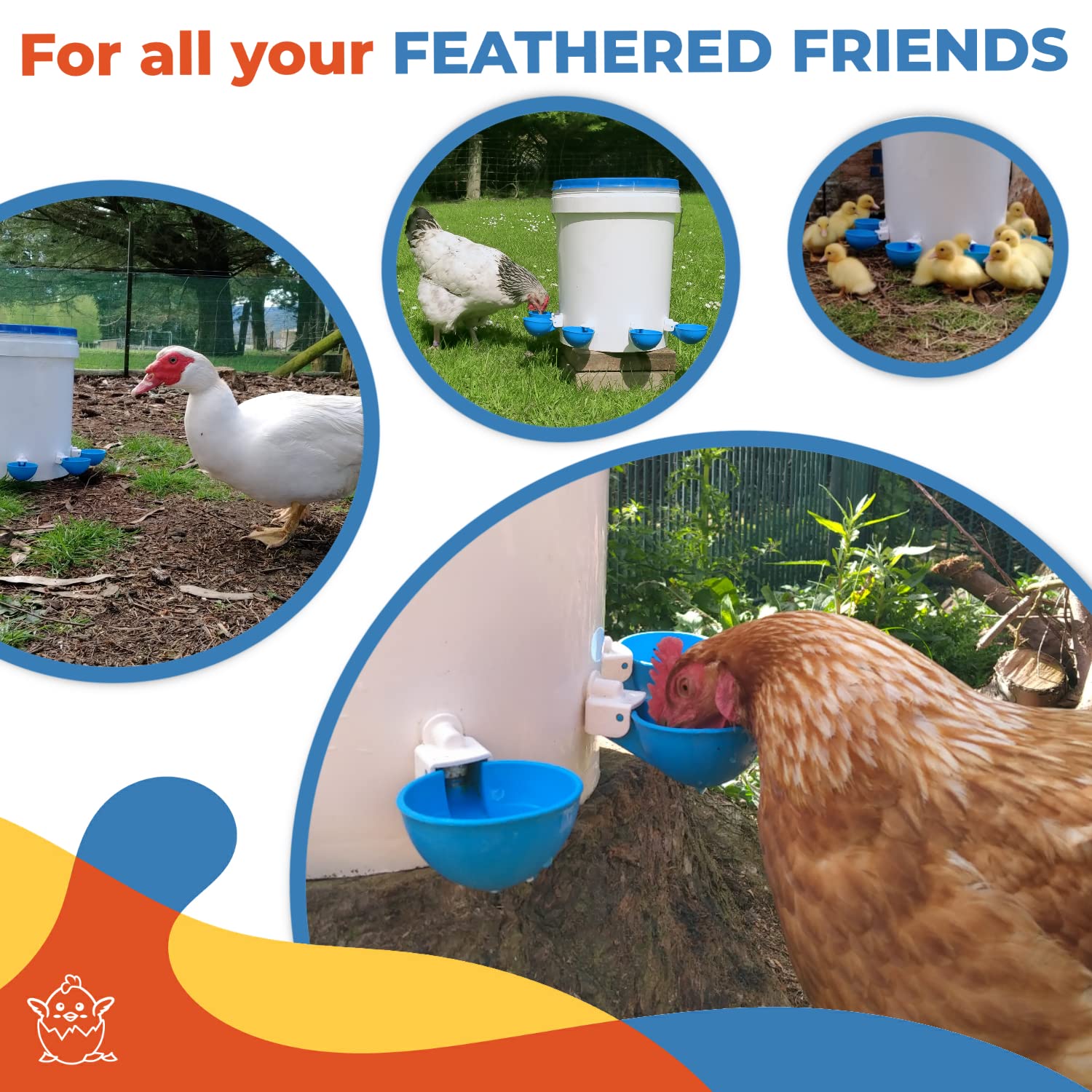 Lil'Clucker Chicken Waterer Cups 10 Pack - 5 Orange & 5 Blue Poultry Drinking Cups for Chickens, Ducks, and Birds - Perfect for Coops, Farms, and Backyard Poultry Care
