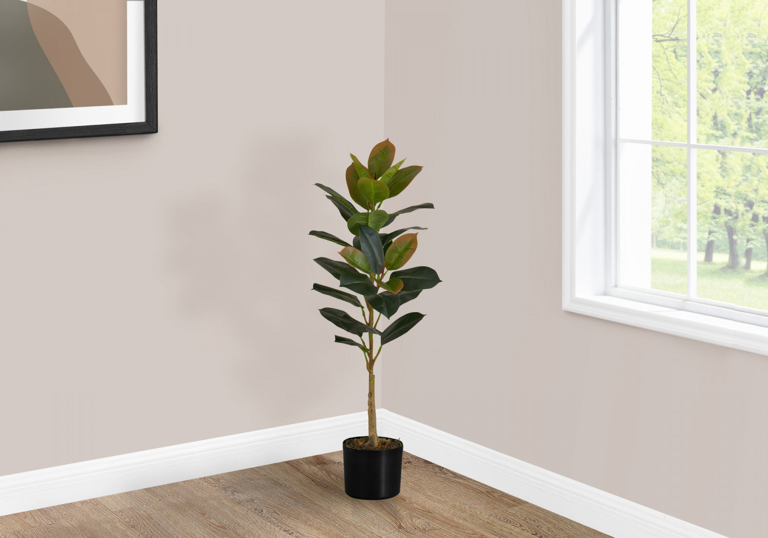 40 Rubber Tree Plants with 5 Black Pots - Indoor Houseplants for Home Office Decor, Air Purifying and Feng Shui