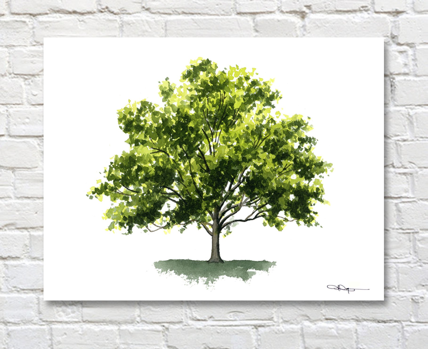 Sycamore Tree Watercolor Art Print - Handmade Botanical Wall Decor by Artist DJ Rogers - Perfect for Living Room, Bedroom & Office Decor