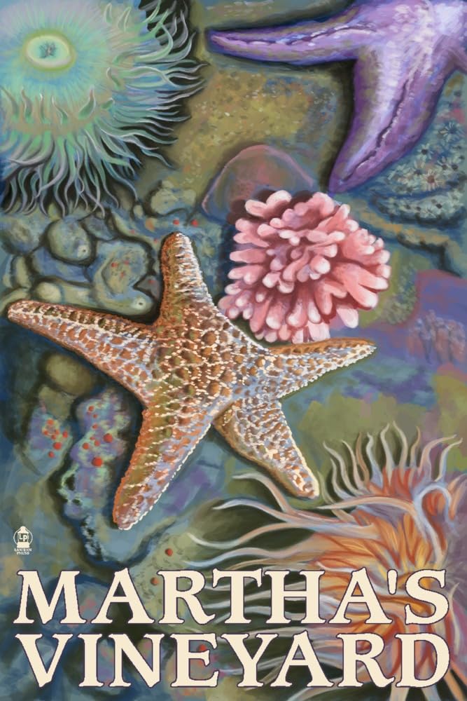 Lantern Press Martha's Vineyard Tidepools Wall Art - 16x24 Wrapped Canvas Print for Coastal Home Decor, Beach House Living Room & Office Wall Decor - Perfect Nautical Gift for Ocean Lovers