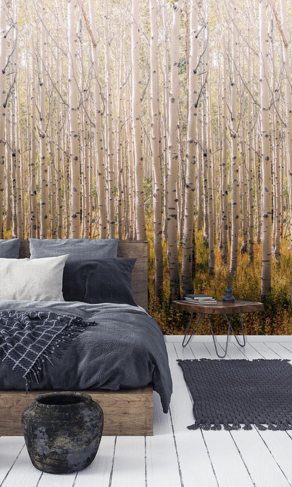 Birch Tree Forest Digital Wallpaper RM2038 - HD Nature Background for Desktop, Phone & Tablet - Perfect for Home Decor, Office & Relaxation