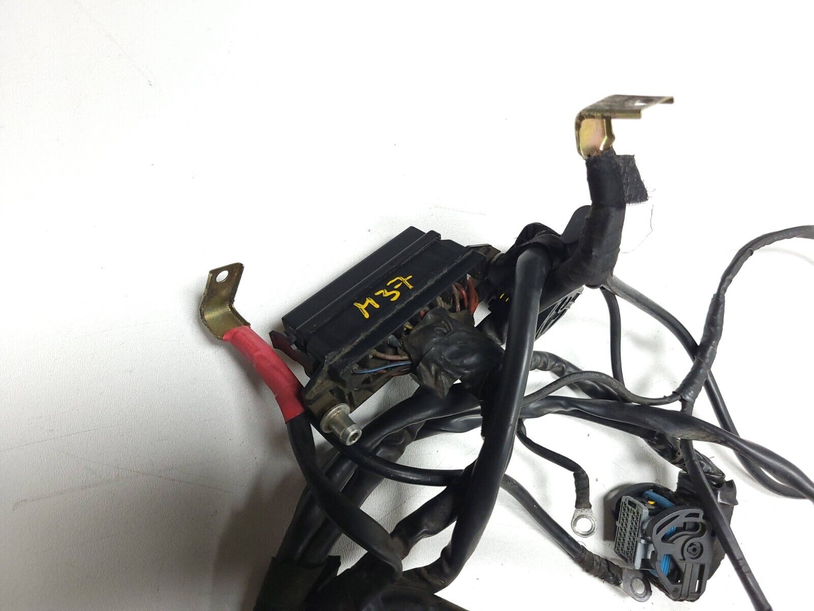 02 06 Ducati Monster M600 620 Main Wire Harness OEM Replacement Part - Perfect for Motorcycle Electrical System Repair & Maintenance