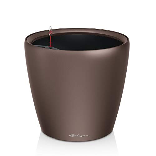 Espresso Metallic