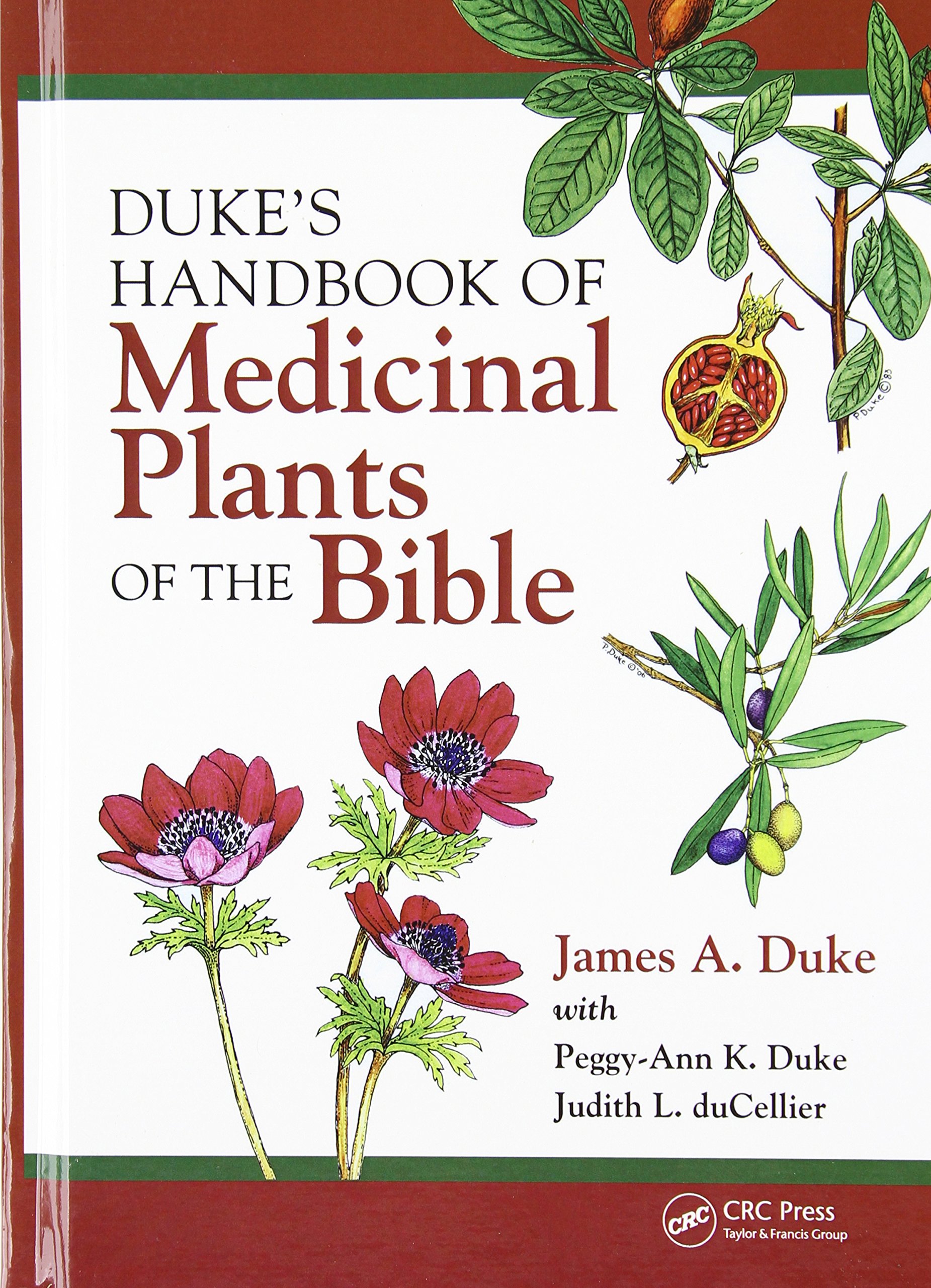 Duke's Handbook of Medicinal Plants of the Bible - Biblical Herbal Remedies Guide for Natural Healing & Christian Wellness - Perfect for Bible Study, Homeopathy, and Spiritual Health Practices
