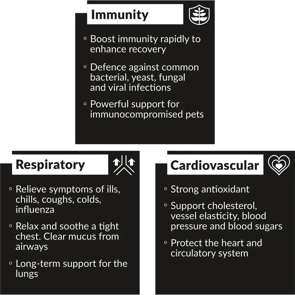 OliveBoost Supplement for Dogs & Cats - Natural Immune Support & Joint Health - Perfect for Senior Pets & Active Animals at Home or Travel