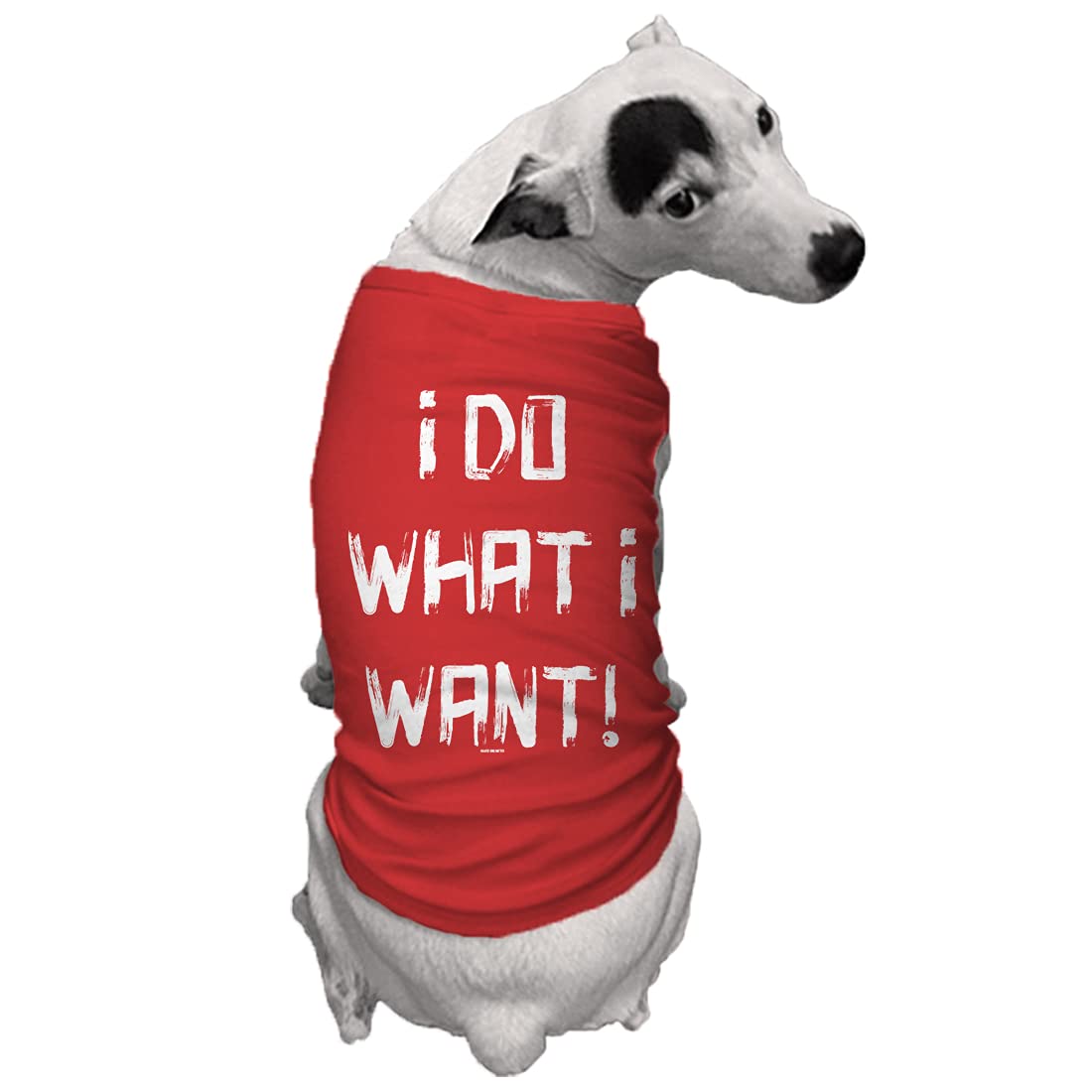 I Do What I Want