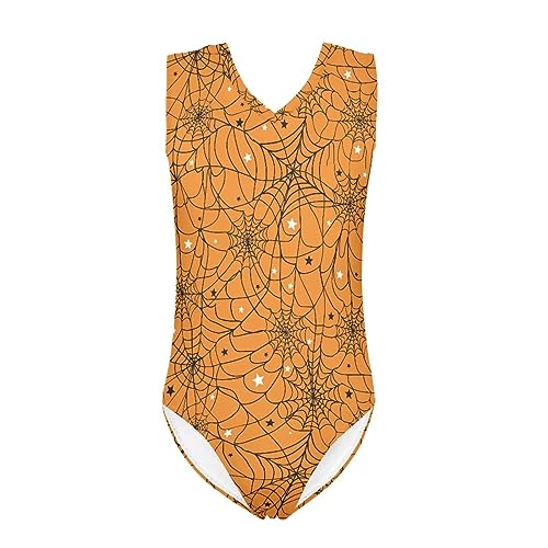 Halloween Spider Web