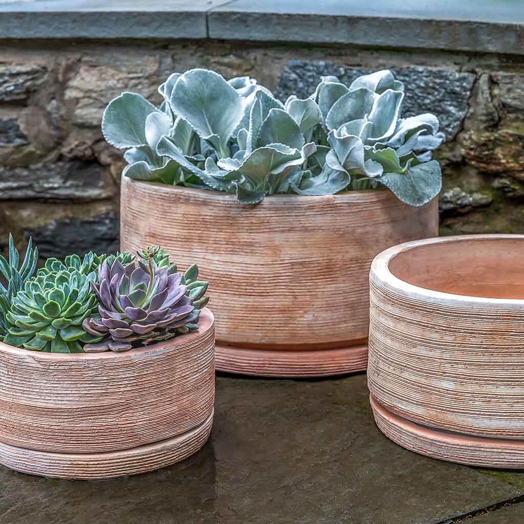 Campania International Sgraffito Low Planter Set of 3 - Terra Cotta Flower Pots for Indoor Plants, Succulents & Home Decor | Perfect for Windowsills, Tabletops & Garden Displays
