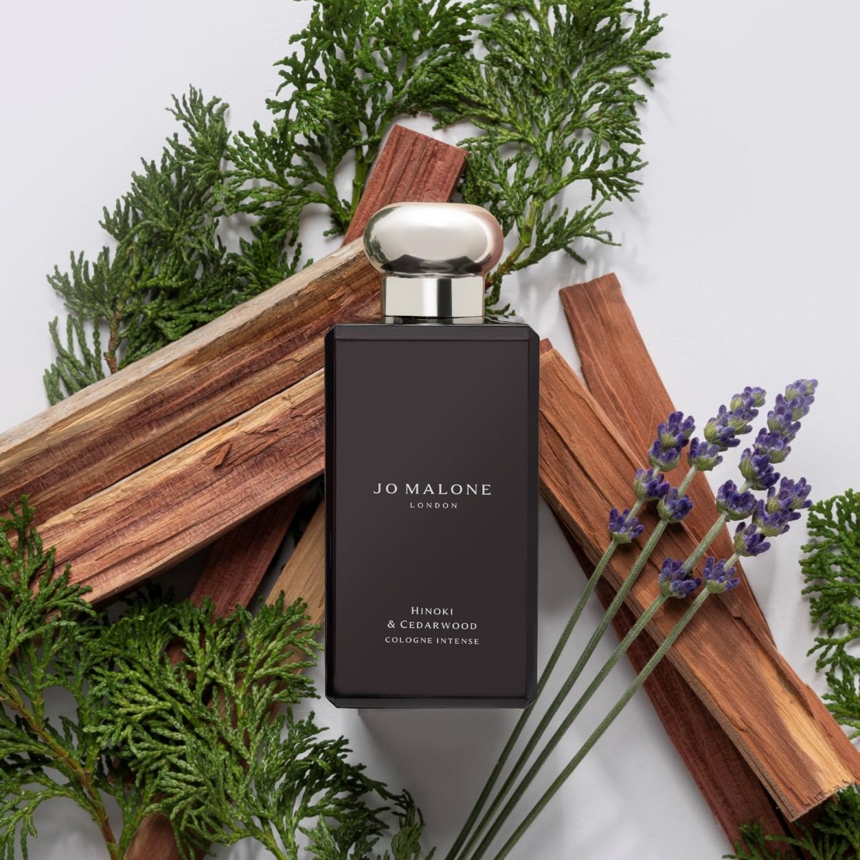 Premium Hinoki & Cedarwood Cologne Intense for Men - Long Lasting Woody Fragrance - Perfect for Date Night & Special Occasions