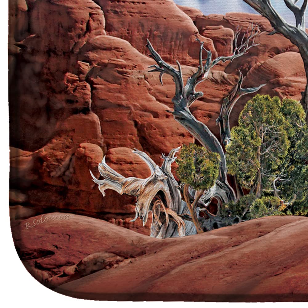 Great Horned Owl Dish Drying Mat - Absorbent Kitchen Counter Mat for Dishes, 14x21