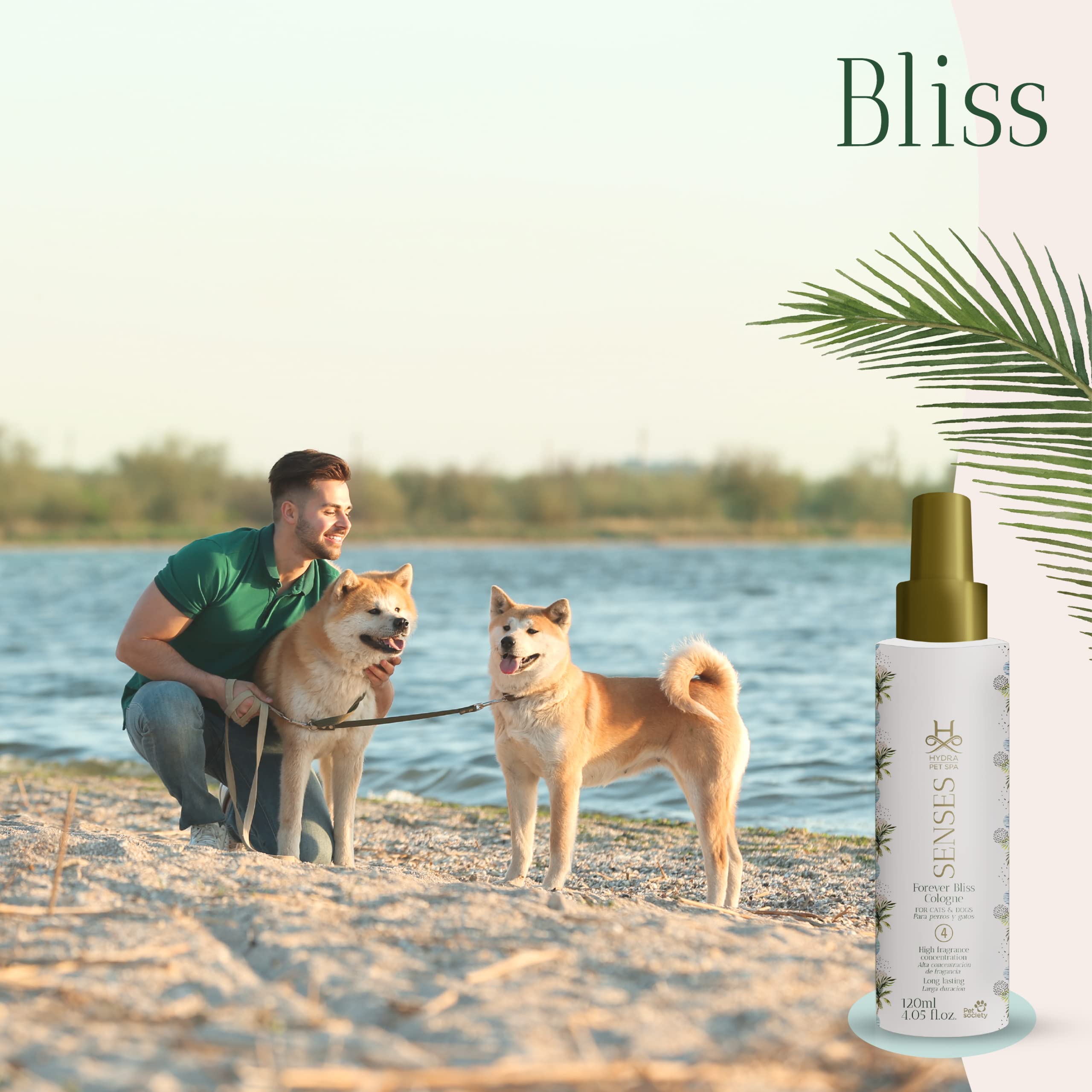 Hydra Senses Bliss Cologne for Men - Long Lasting Fresh Fragrance for Daily Wear, Work & Special Occasions