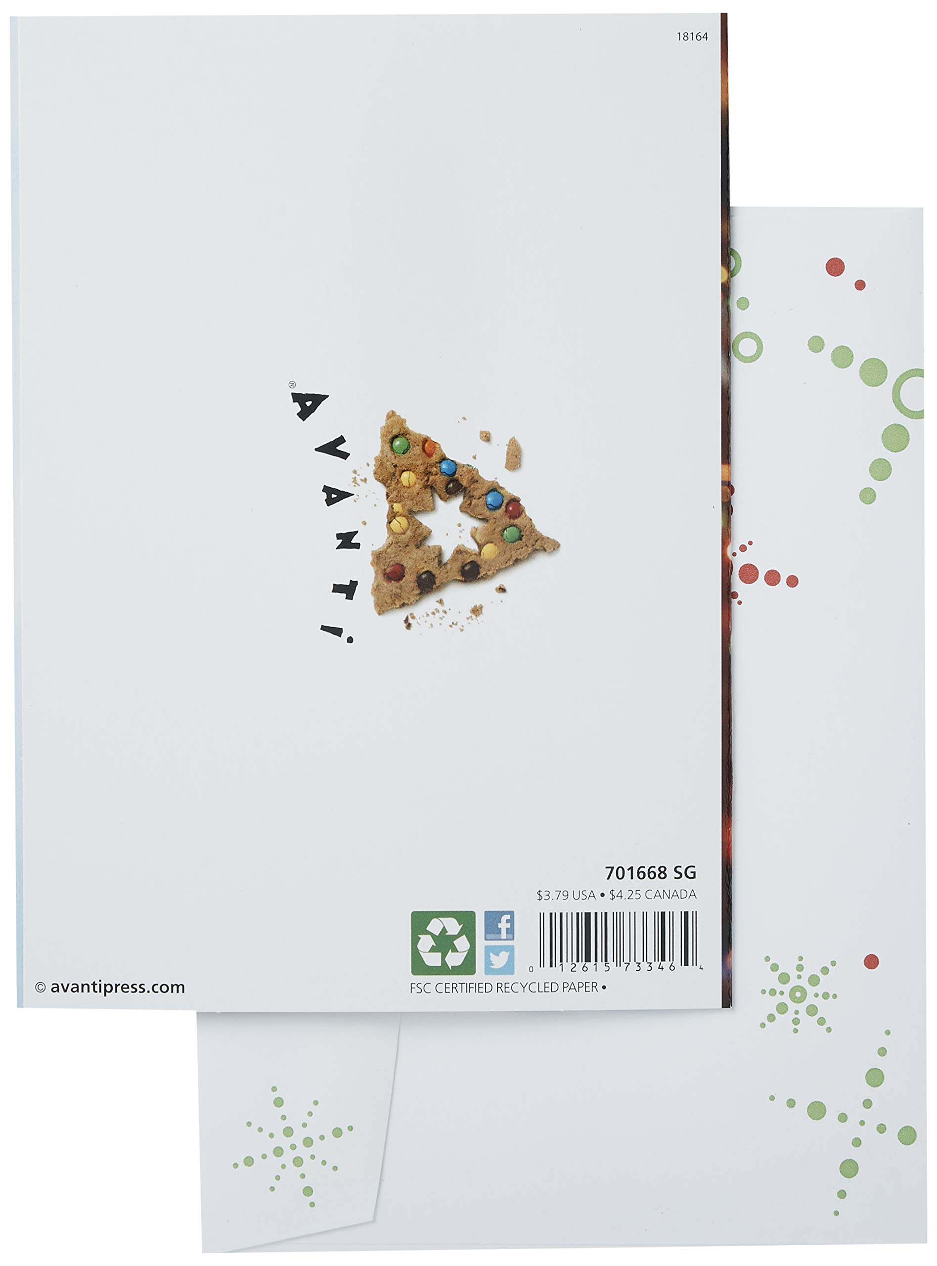 Avanti Press Christmas Cards - Santa Cat with Cookies (Set of 10) | 703952 | Holiday Greeting Cards for Family, Friends & Coworkers