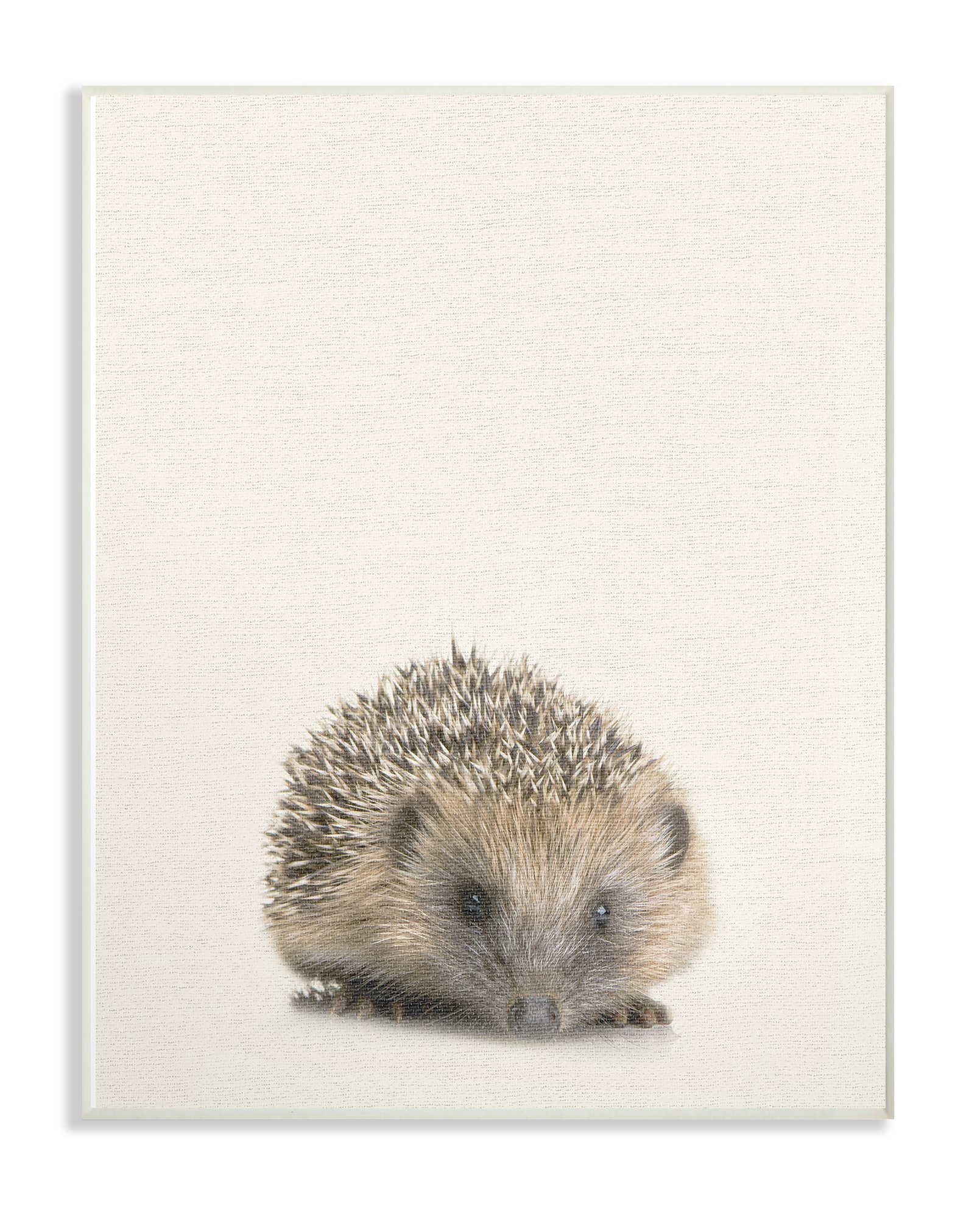 Adorable Hedgehog Plush Toy - Soft & Cuddly Stuffed Animal for Kids & Collectors | Perfect for Gifts, Nursery Decor, and Stress Relief
