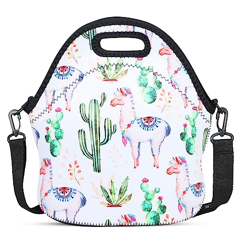 Cactus Alpaca 1