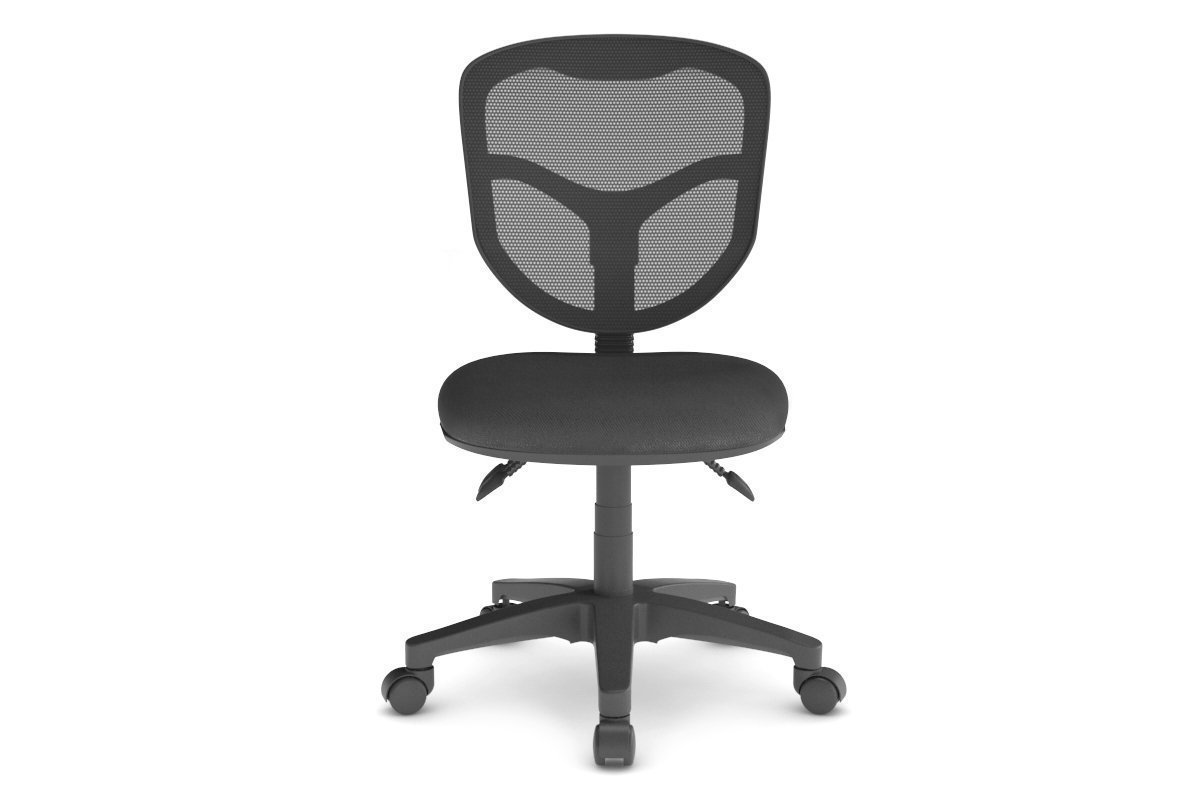 Plover Ergonomic Office Chair with Breathable Mesh Back - Adjustable Lumbar Support & Tilt Function for Home & Office Workspaces