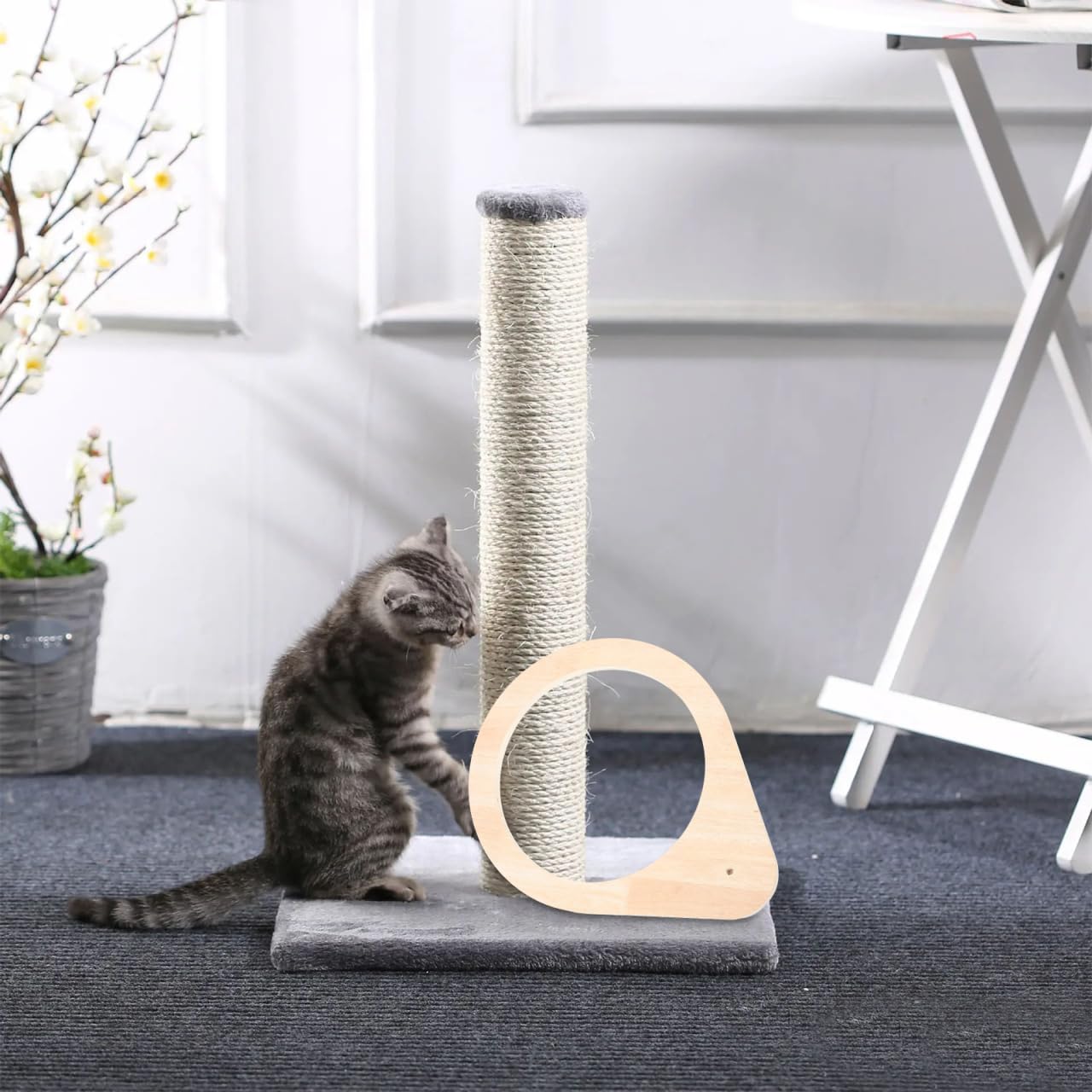 Wear-Resistant Cat Perch Frame - Scratching Post Replacement, DIY Cat Tree Shelf for Indoor Kittens & Cats | Perfect for Cat Beds, Climbing & Play Areas