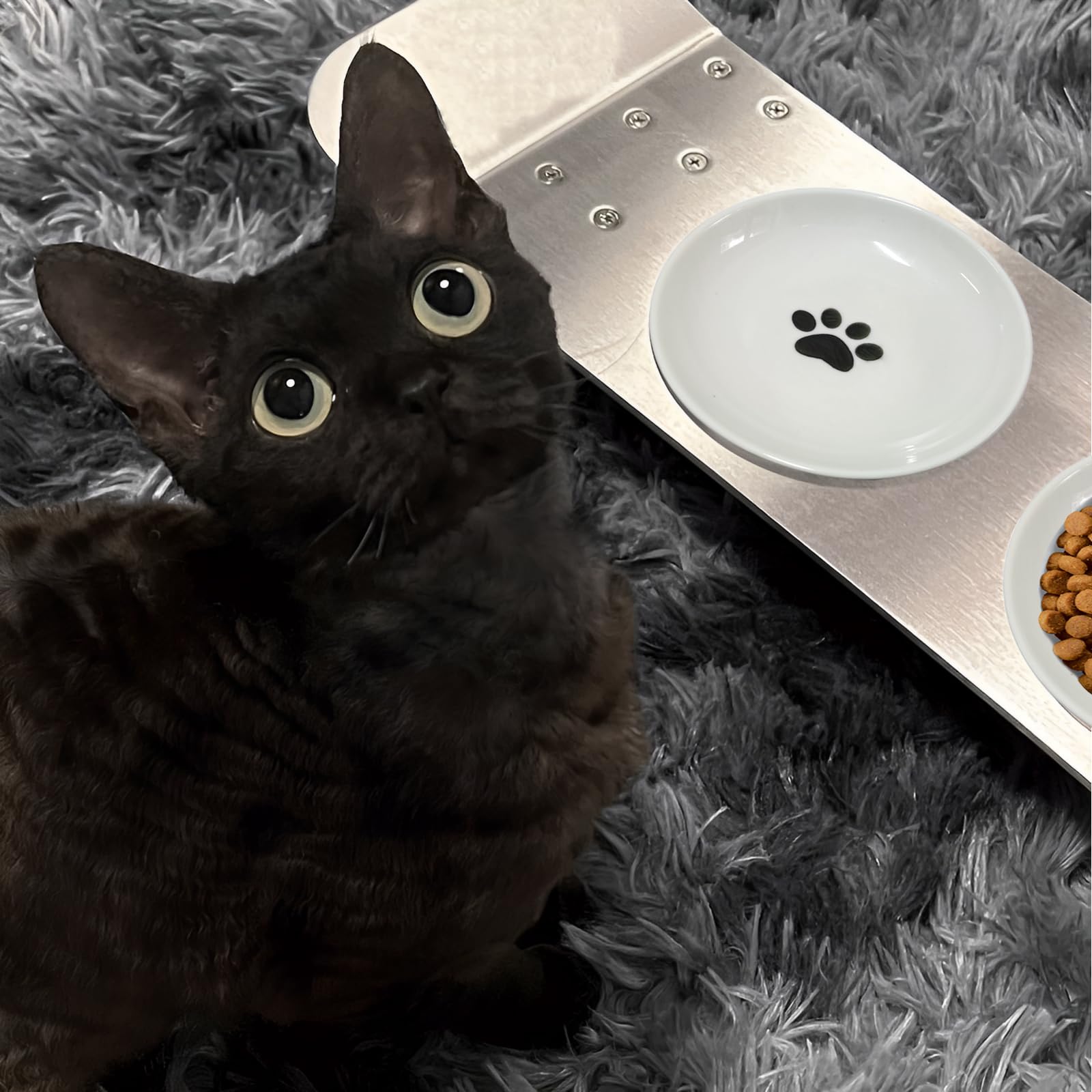 3Pcs Ceramic Cat Food Bowls with Non-Slip Silicone Base - Anti Whisker Fatigue Shallow Dishes for Dry & Wet Food - Perfect for Indoor Cats & Kittens - Ideal for Mealtime Comfort and Easy Cleaning