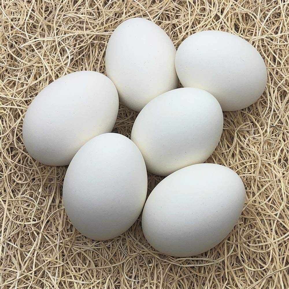 Premium Ceramic Nest Eggs - Set of 6 White Fake Chicken Eggs for Poultry Training, Farm Decor & Easter Decorations - Perfect for Chicken Coops, Farmhouse Decor & Spring Centerpieces