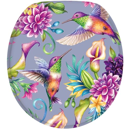 Hummingbird