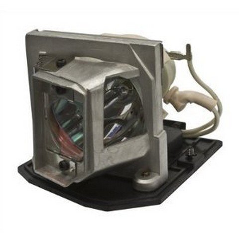 Optoma TX542-3D Projector Lamp Replacement with Genuine Osram P-VIP Bulb - Compatible with Optoma Projectors for Home Theater, Office Presentations & Classroom Use