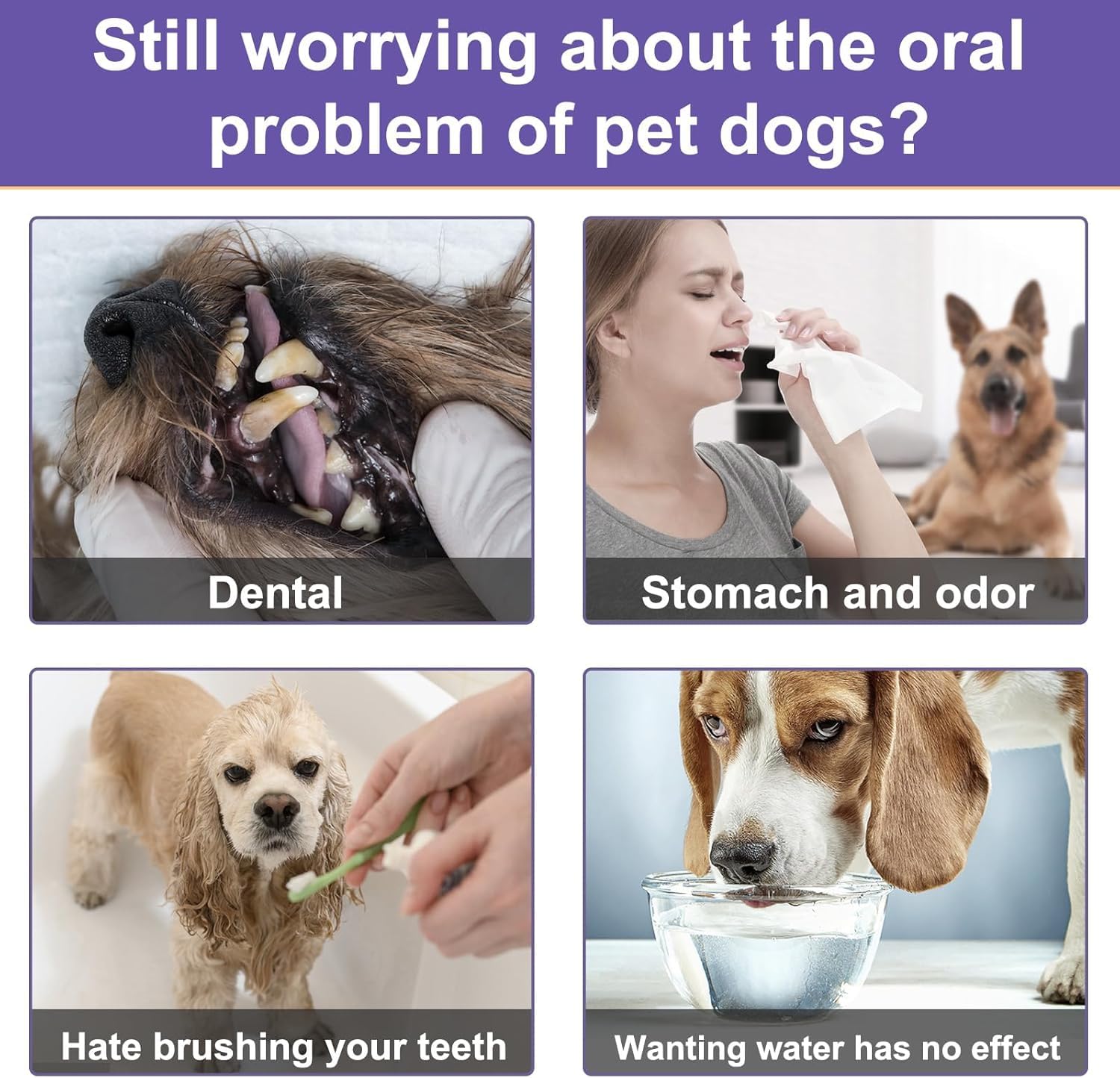 Natural Dog Teeth Cleaning Powder for Bad Breath Treatment - Dental Care Powder with Probiotics to Remove Plaque & Tartar - Freshen Dog Breath for All Breeds & Sizes - Perfect for Daily Oral Hygiene & Vet Visits