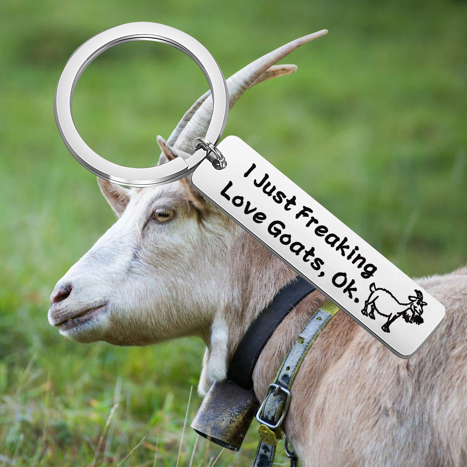 LQRI Funny Goat Keychain - Perfect Gift for Goat Lovers, Farmers & Crazy Goat Ladies | Silver Farm Animal Keyring for Pet Goat Enthusiasts | Great for Birthdays, Christmas & Farm-Themed Parties